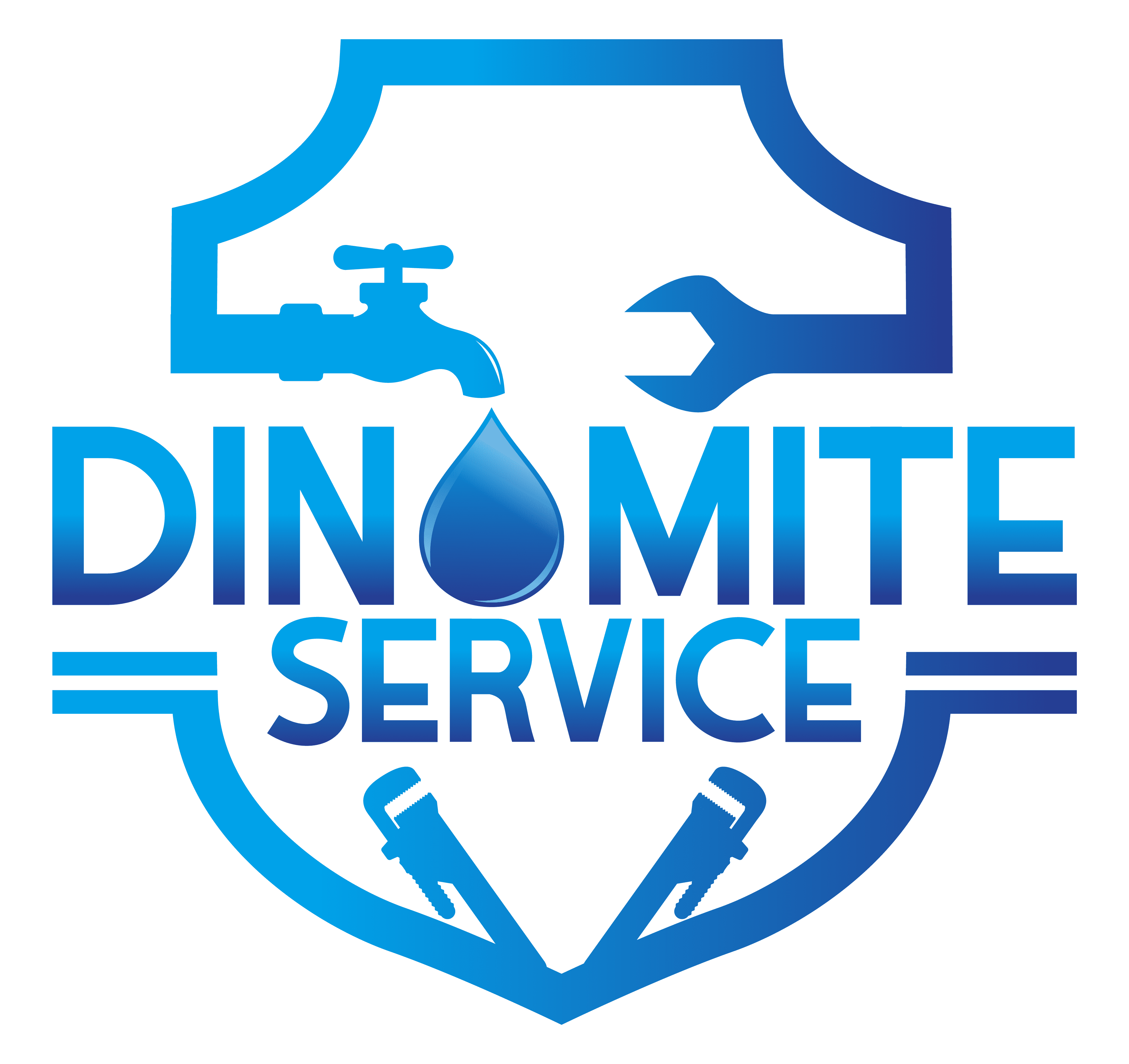 (c) Dinomiteservices.com