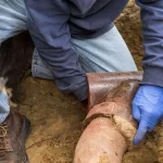 Repairing a damaged underground pipe