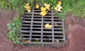 clogged french drain