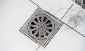 dissolve hair in a shower drain