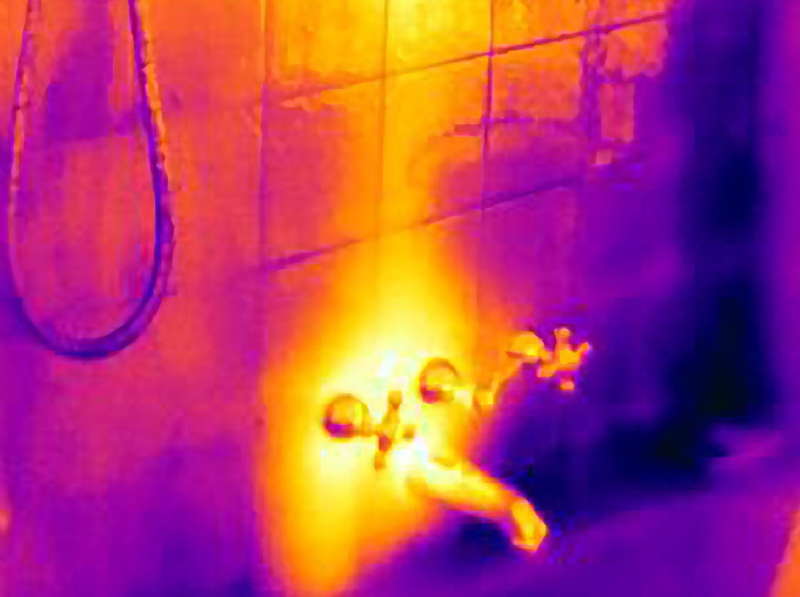 Thermal image of a water leak