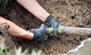 damage sewer line