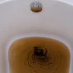 sewer backup in the bathtub