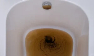 sewer backup in the bathtub