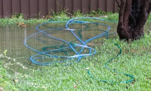water leak detection in yard