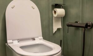 An open white toilet sits next to a roll of toilet paper mounted on a modern olive green bathroom wall.
