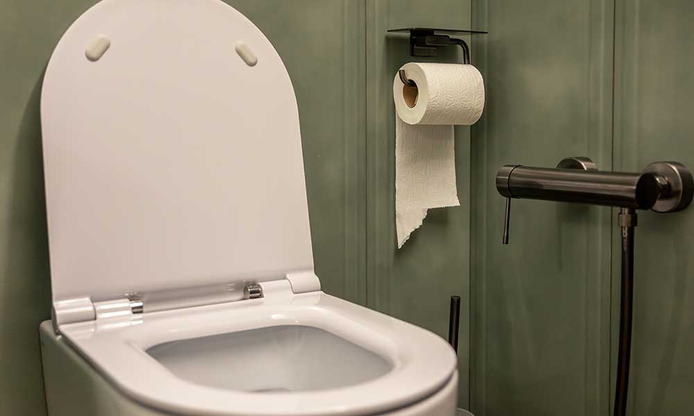 An open white toilet sits next to a roll of toilet paper mounted on a modern olive green bathroom wall.
