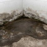 Close-up view of water seepage and damp staining pooling on a concrete foundation floor in the corner of a room, illustrating the risks of poor drainage and slab leaks.
