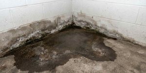 Close-up view of water seepage and damp staining pooling on a concrete foundation floor in the corner of a room, illustrating the risks of poor drainage and slab leaks.